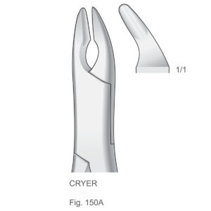 Extracting Forceps American Pattern