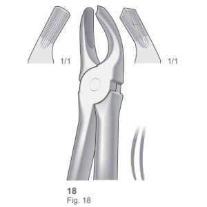 Extracting Forceps, English Pattern